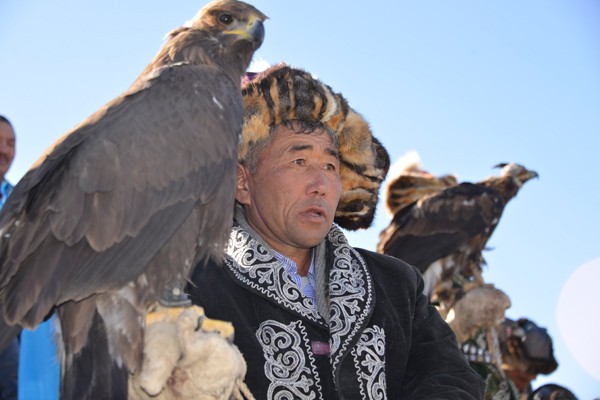 Mongolia Eagle Hunting Eagle Hunting Festival 2020 Golden