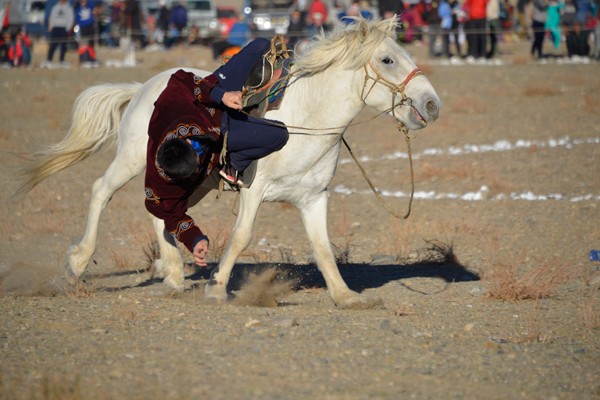 Mongolia Golden Eagle Festival 2020 Discover Altai