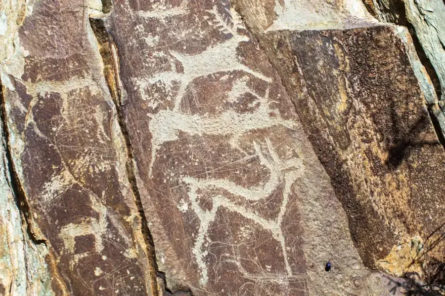 altai tour petroglyphs