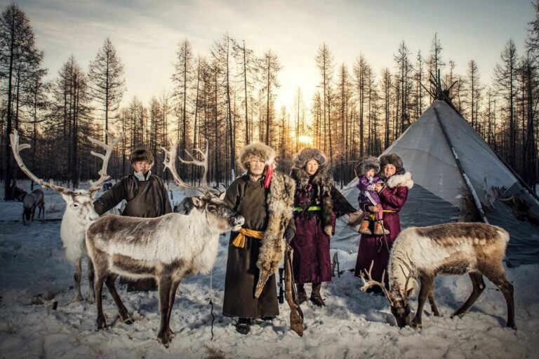 Reindeer Herders: Frequently Asked Questions