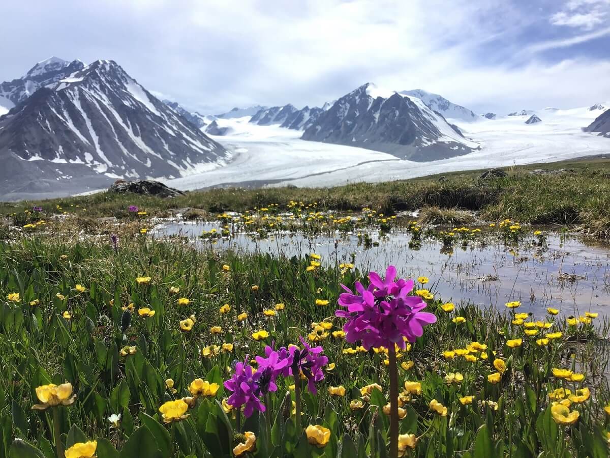 altai tavan bogd national park