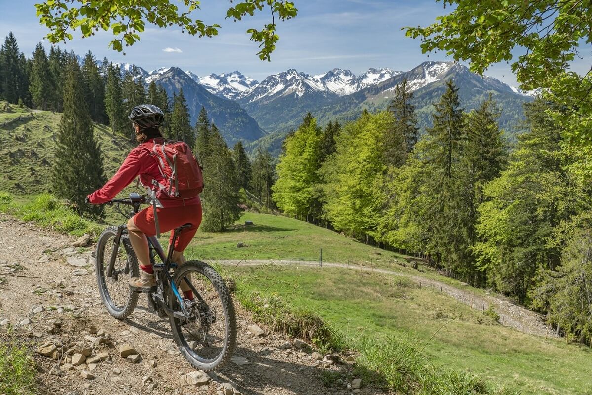Trek Bikes Unveiled: More Than Just Wheels - Discover Altai