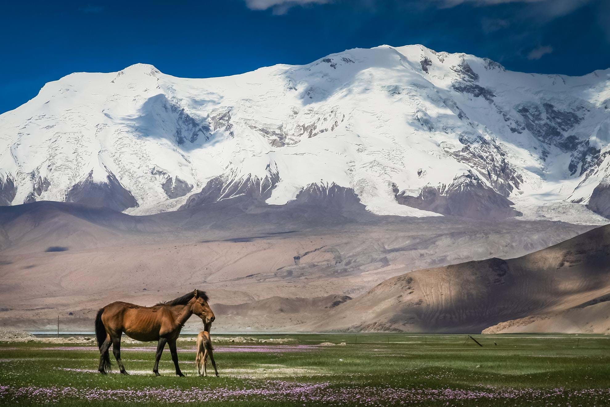 trekking to Khustain nuruu national park