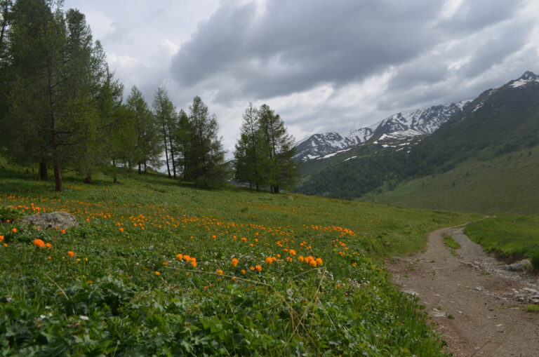 Yolt Valley in Altai Tavan Bogd: A Majestic Gem in Mongolia’s Wilderness