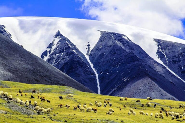 Sutai Mountain: A Majestic Peak in Mongolia