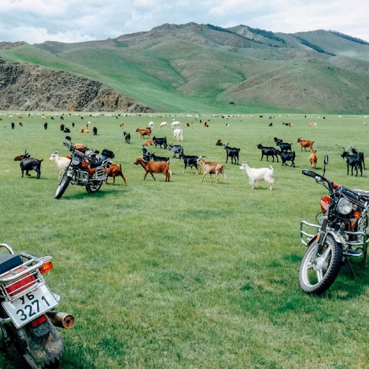 may and june in mongolia