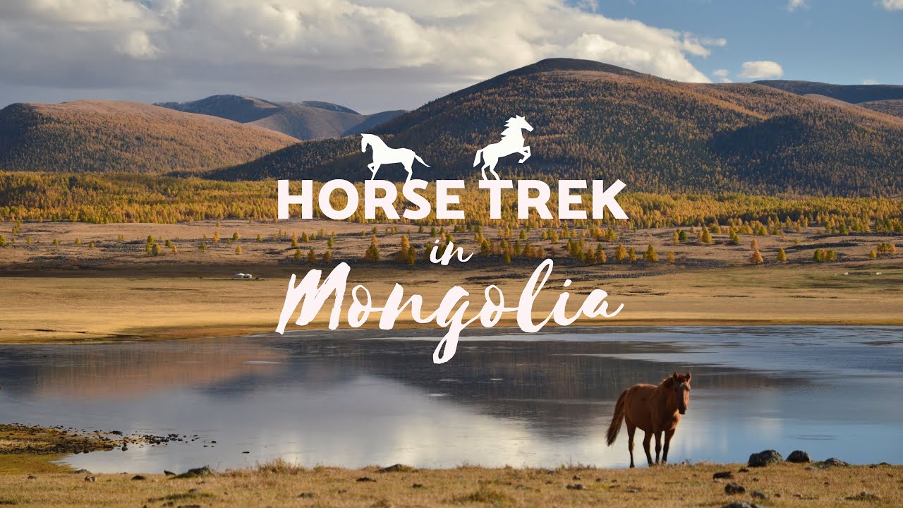 horse trek in mongolia 4 day tou